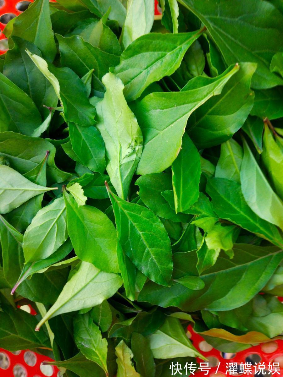 猪肝汤|视力不好喝这汤，隔三差五喝，美味可口，视力清晰了，双眼变明亮