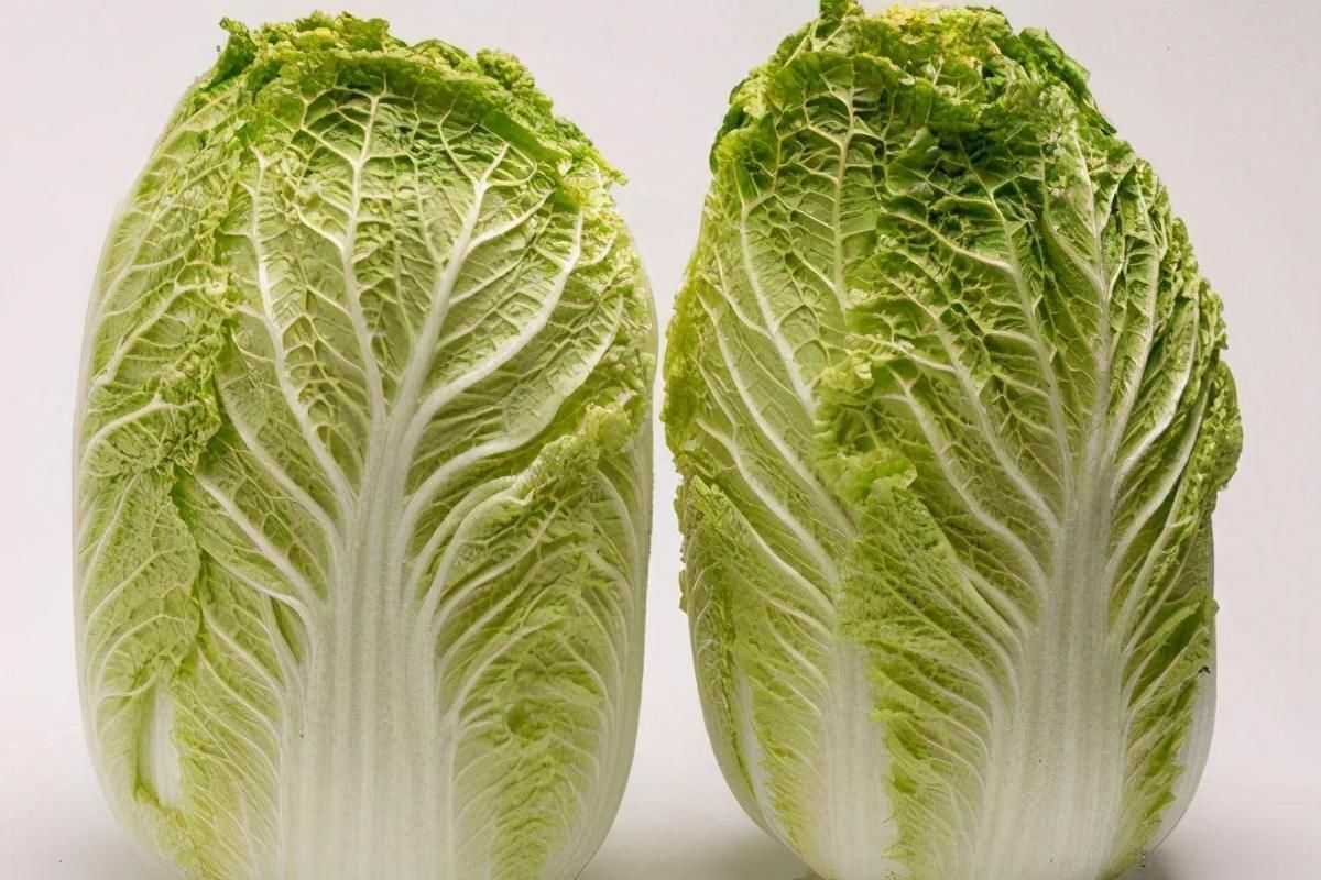 腌酸菜不要只加盐，多加这1步，腌出的酸菜特美味