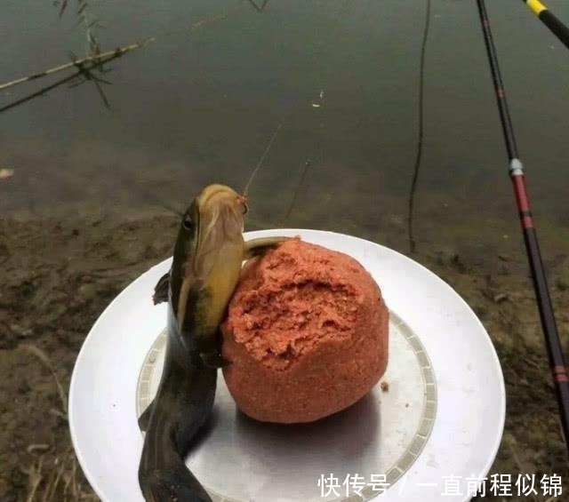 钓位|钓鱼太费钱所以能省就省在这几个环节省了钱，你多半会空军！