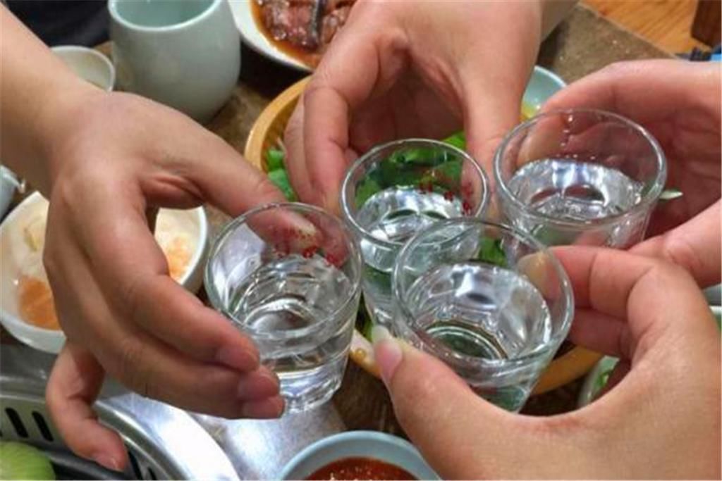 村俗语“豆腐下酒,不如喂狗”什么意思?豆腐不可以下酒吗?