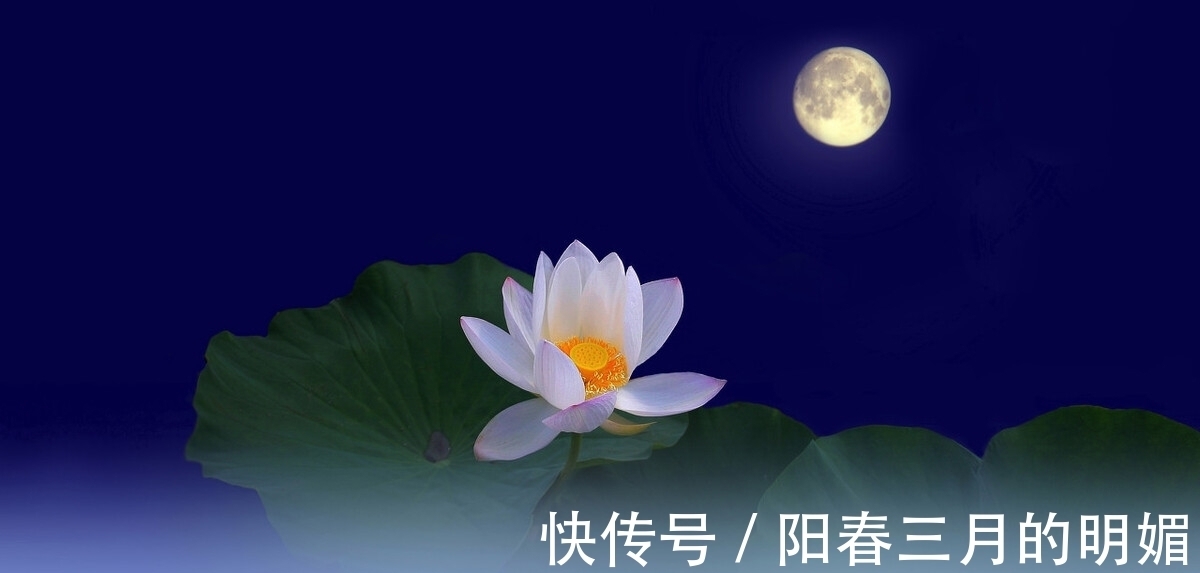 古人|初读不识诗中意,读懂亦是诗中人。读回乡偶书,品古人乡愁