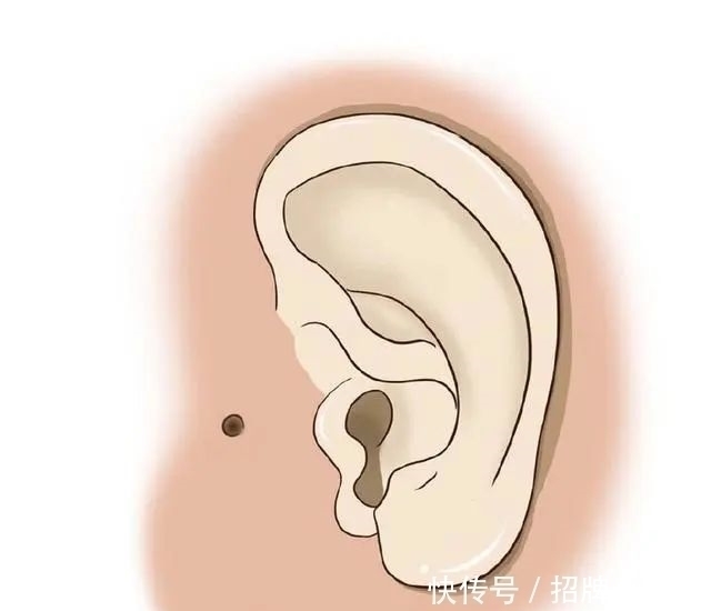 耳轮|一生的运势顺不顺，看耳朵便知，这三种有福气的耳朵你有吗