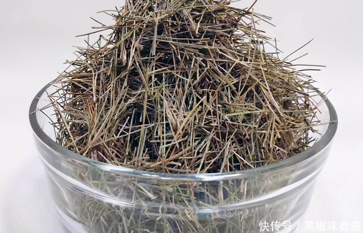 花土|老花匠劝告新人:养花不想出问题就用松针土,用发酵后的它