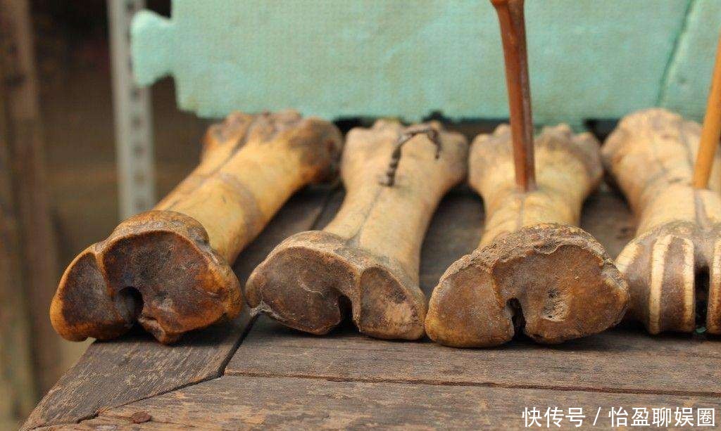 发现上官婉儿|上官婉儿墓出土,仅发现几块牛骨头,那么她的尸体去哪了?