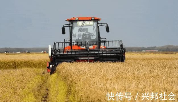 机器人|“三驾马车”齐头并进,碧桂园长期主义再被验证