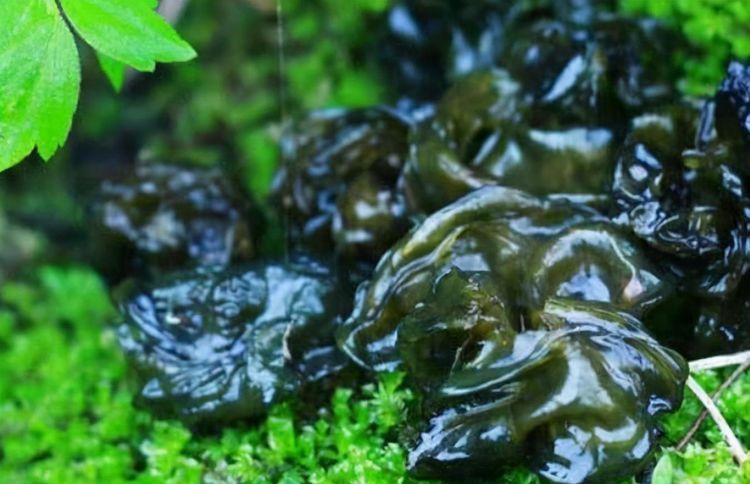 保健|冬天到了，推荐多吃3种食物，排毒清肠，减少皱纹，爱吃就赚到