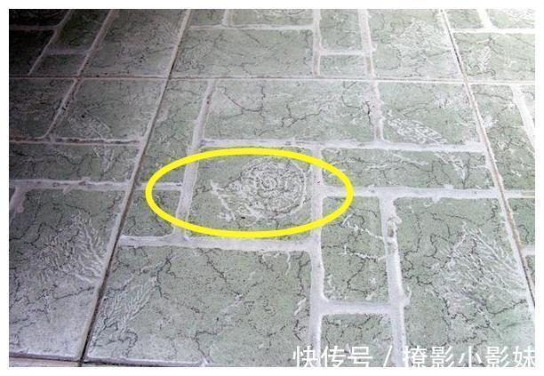 边角料|装修时瓷砖“边角料”别扔,让它废物变宝,这6处都能用到,省钱