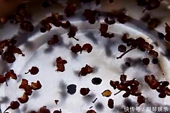 白菜猪肉饺子，调馅时这样调，饺子鲜美多汁，比三鲜饺子都鲜