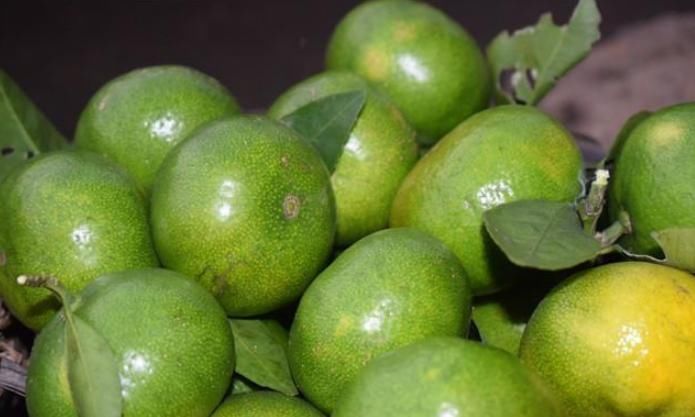 橘脐|买橘子,“公母”要分清,要挑母的,记住4点,保证个个香甜多汁