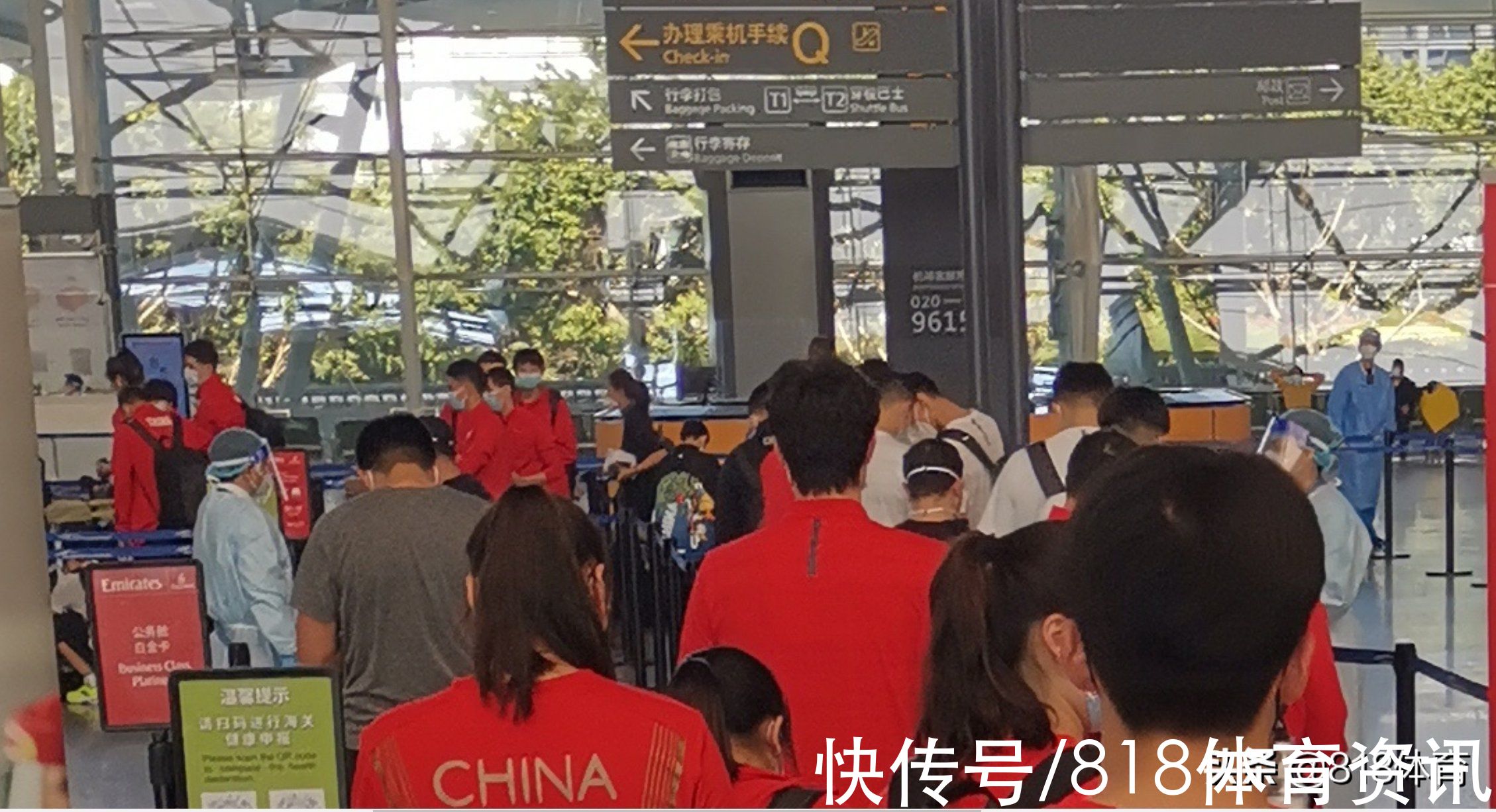 短池|小鳥依人!全紅嬋隨游泳隊抵達阿聯(lián)酋,排隊入境像小可愛闖入巨人國