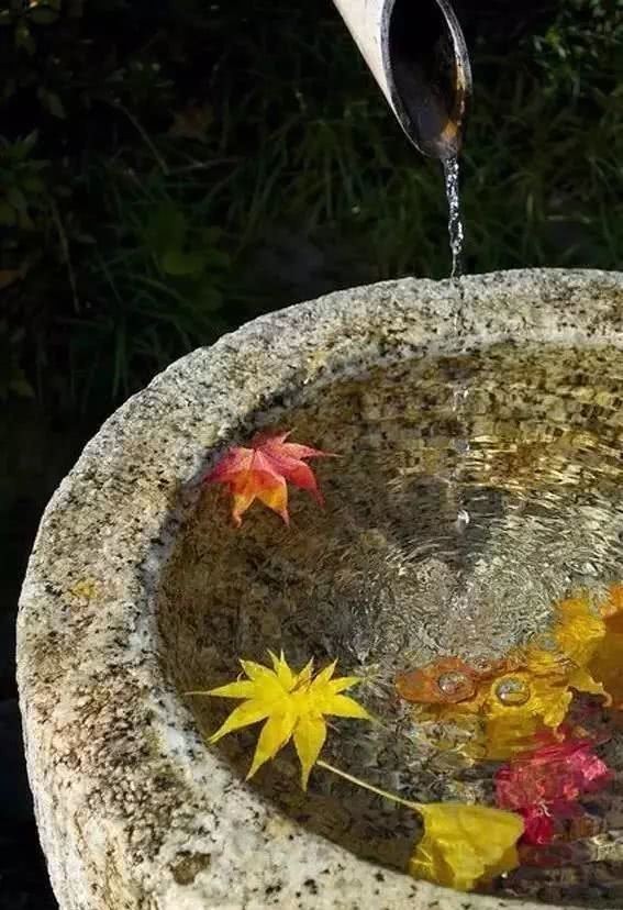 清凉|庭院水景，夏日的一抹清凉