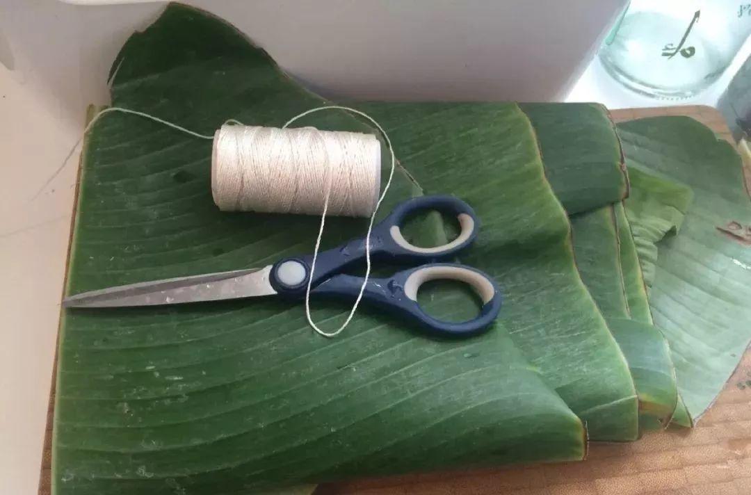 叶子|7种叶子，适合包粽子，操作方便还有竹香！