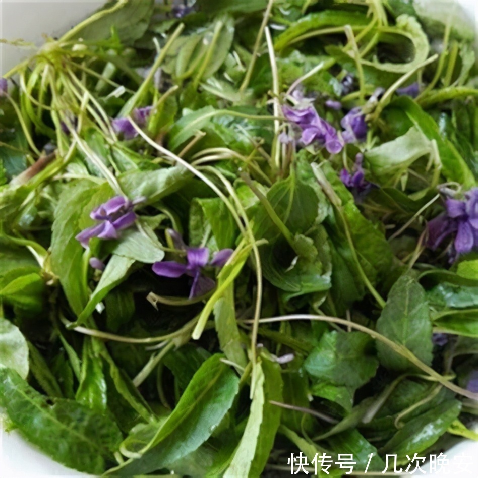 抗菌|对身体很有好处的食物,坚持常吃,消炎抗菌、清肝明目、清热排毒