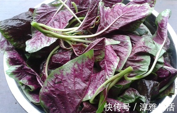 蟹味菇|天热多给家人喝这汤,3块钱煮一大锅营养高钙又下火,天天喝不腻