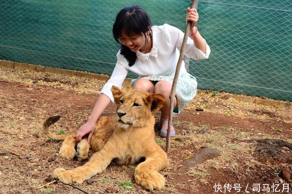 《神话之城》：世界上的神话，可不止宙斯、维纳斯这些希腊罗马系