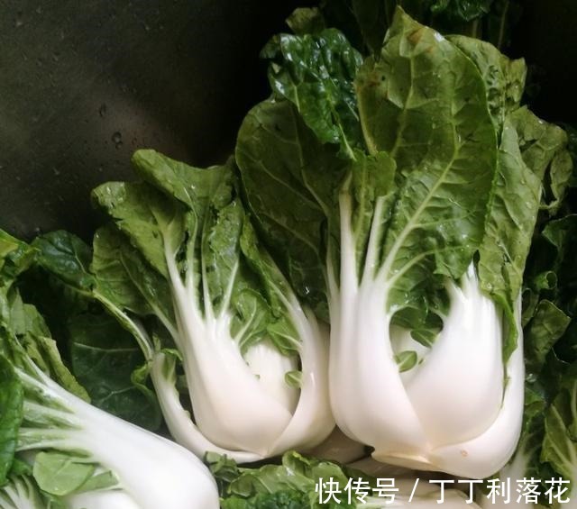 这几种蔬菜晒干后，比新鲜的还好吃，干净卫生也不贵炖肉吃很香！