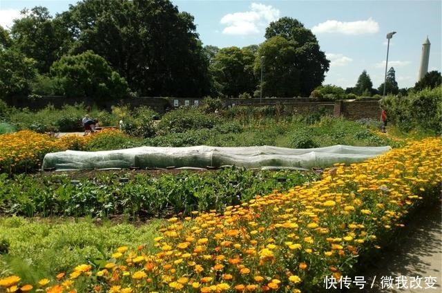 花开花落又一年