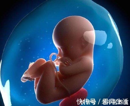 嫌弃|宝宝在妈妈肚子里的时候,便便都去了哪里妈妈知道了别嫌弃!