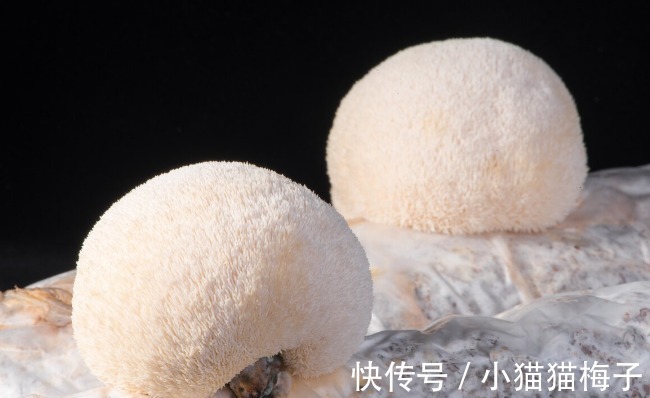 益母草|66种野菜大图片，带你见识不同的野菜和吃法，你想要的野菜这里有