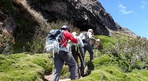 膝盖|膝盖真的是越用磨损越厉害吗 膝盖不好真的就不能动了吗