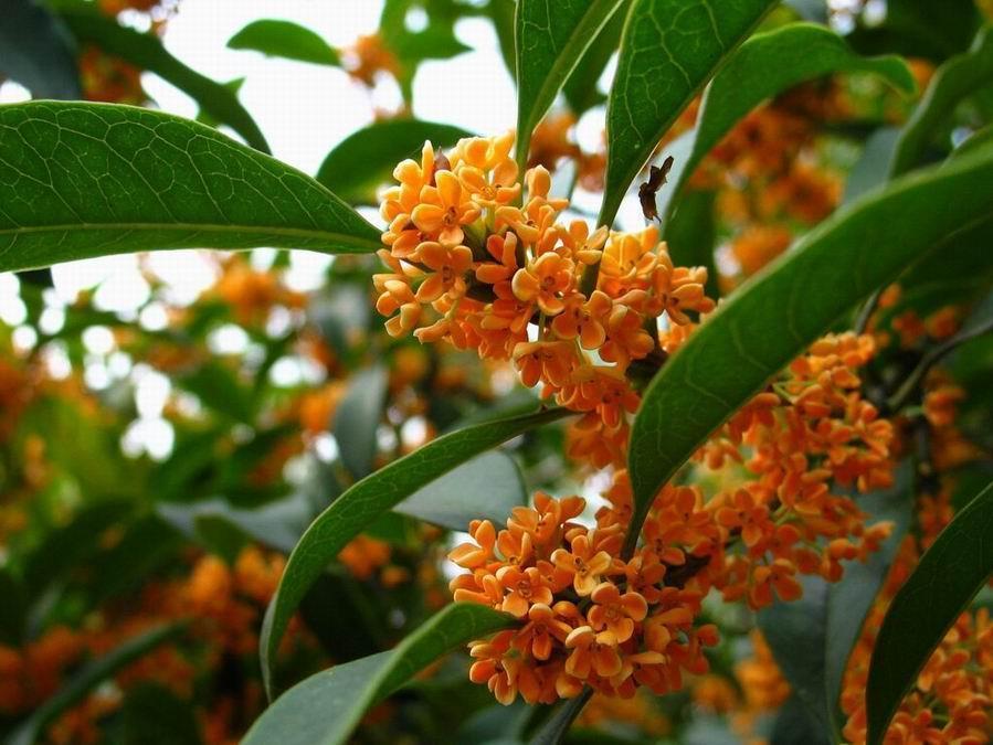 诗鬼李贺的写作小妙招,小学生拿来就能用,家长不再担心作文考砸