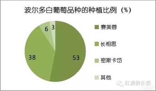  波尔多葡萄与波尔多葡萄酒的关系，波尔多的白葡萄品种