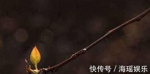 做人#易经里那些做人的智慧,落实一条一生无忧