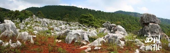 有山有水享清凉，打卡这些夏日好去处|清凉一夏·遇见星空 | 夏日