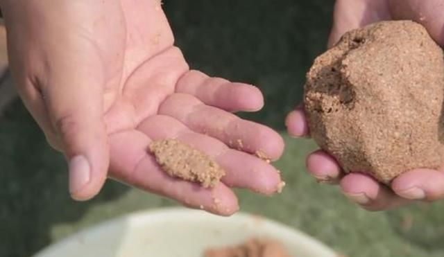 鲤鱼越大越狡猾还好我有“特效饵”,每钓一次都很知足,莫忽视