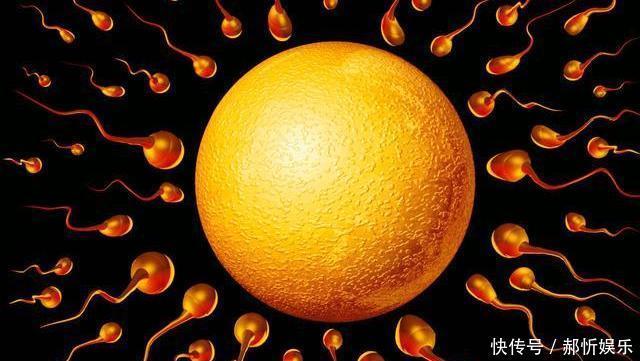 25天来例假和35天来的女生,哪种衰老速度更快或许多数人想错了