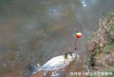 水面|夏季作钓需要做出的七大调整