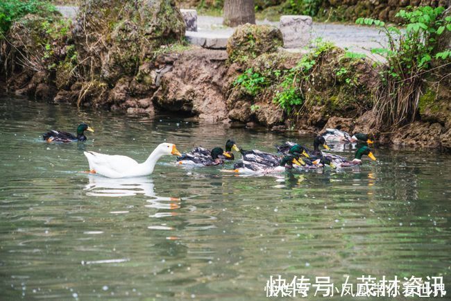 沕沕水|太行山脉有一处婉约江南的秘境，此地泉水潺潺，悬空瀑布经年不歇