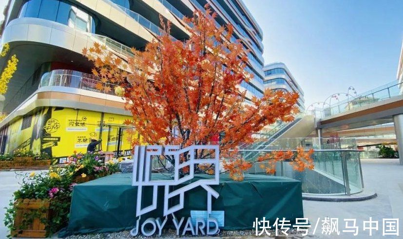 大兴大悦|商业地产如何差异化运营？看这些优质项目的运营技巧