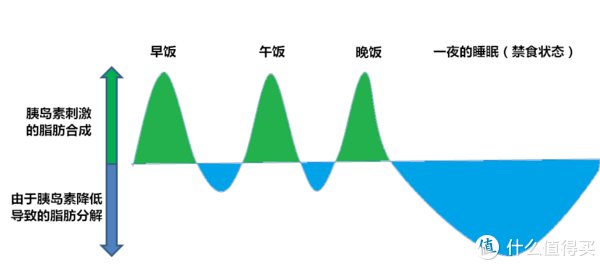 gi值|食物的血糖指数，对于减肥是不是很重要？