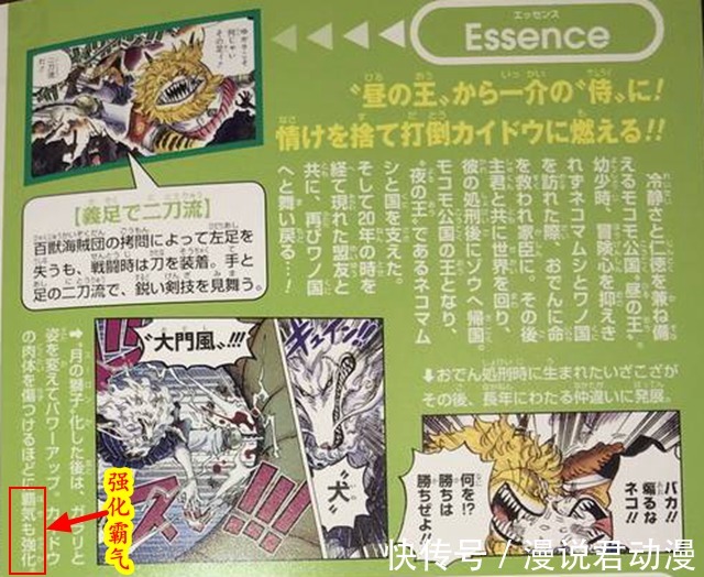 橡胶果实|海贼王:月狮形态除了唤醒野性,还能干嘛?犬岚生命卡给出答案