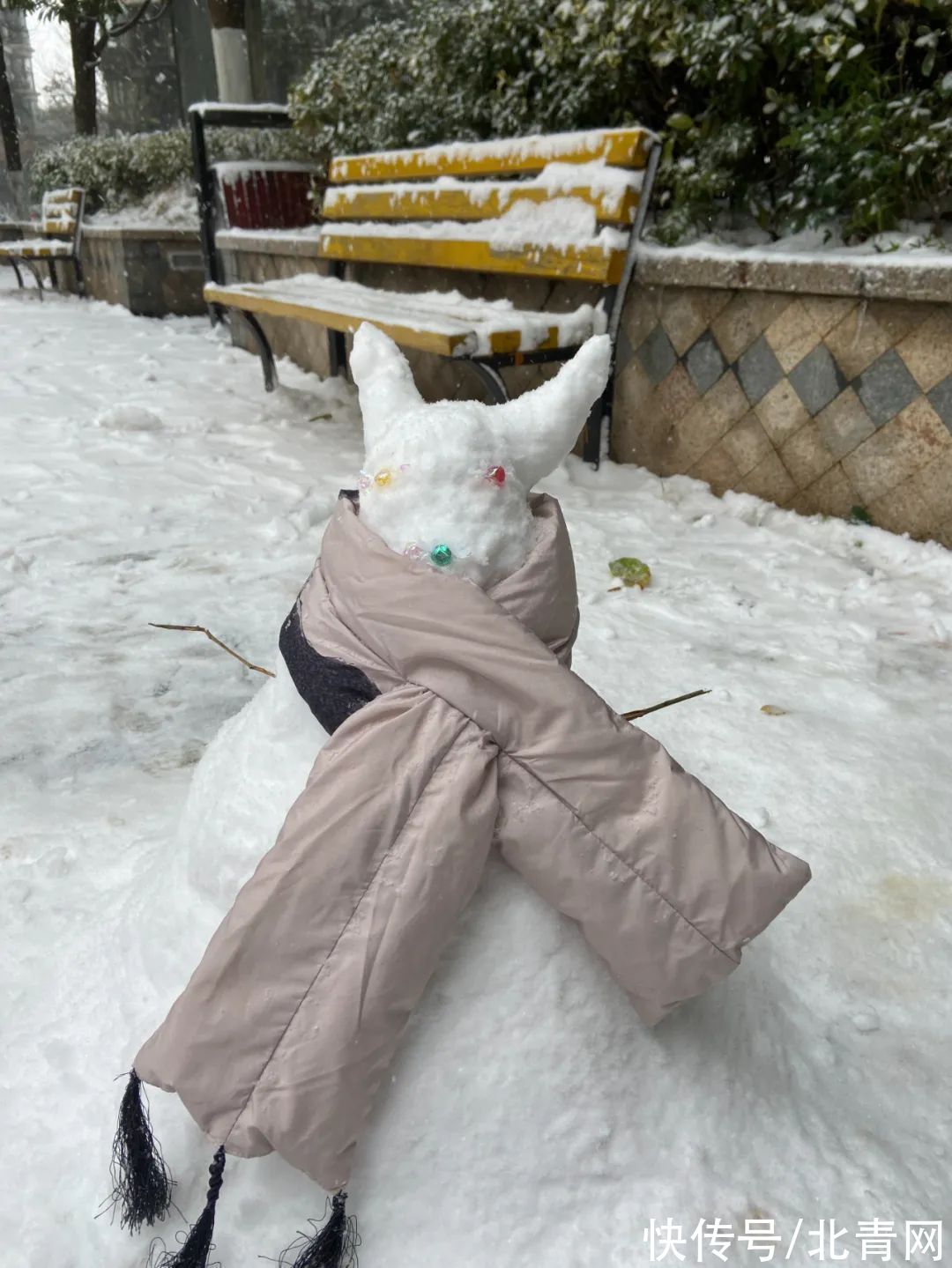 雪人#雪人大比拼，长沙人确实不走寻常路！特别是有位兽医的作品