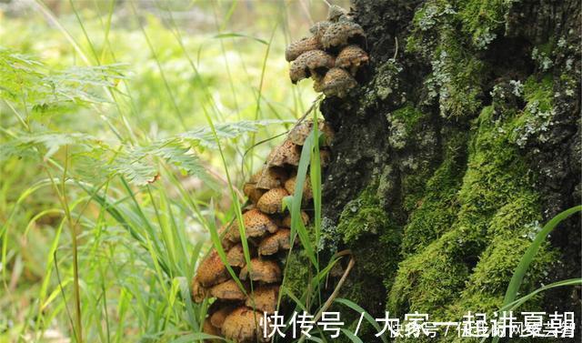 台州电视台|成功抗癌30年,病痛的磨难,失去的丈夫的伤痛,她是如何挺来的