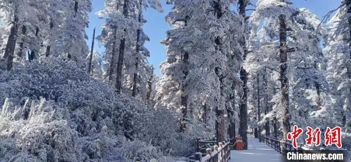 四川眉山瓦屋山景区就游客投诉、停车难等问题公开道歉