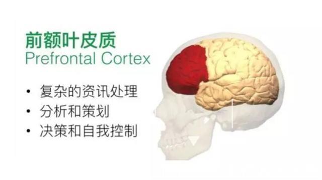 孩子|自主进食促进人格形成,遵循“三不两要”,让孩子享受自己吃饭