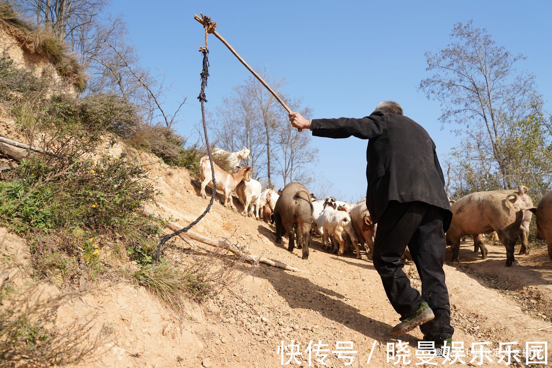 山洞!6旬农民痴迷周易八卦,独居山洞修炼养生30多年,看活成啥样