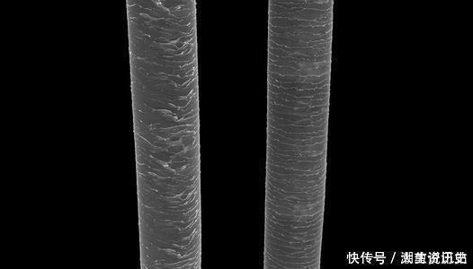 吹风机|潮剪秘籍丨烫完的头发像干草？事后护理很重要！