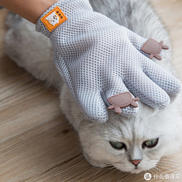 静电|为什么屋子明明是密闭的，家里仍然有很多“毛毛”？该怎么清理？