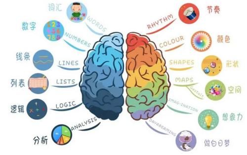 智力|6岁前，孩子大脑发育有2个关键期，“外部刺激”越多孩子受益越大