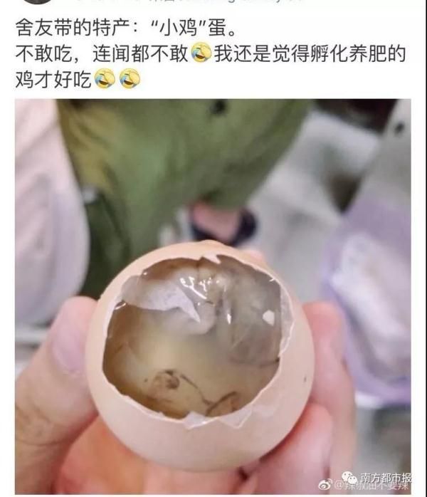 辣酱|十一假期马上就要结束 你的行李箱里装了什么？