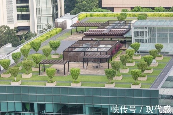低层|不管楼房有多少层,这3层一直都是“黄金楼层”,买到就是赚到!