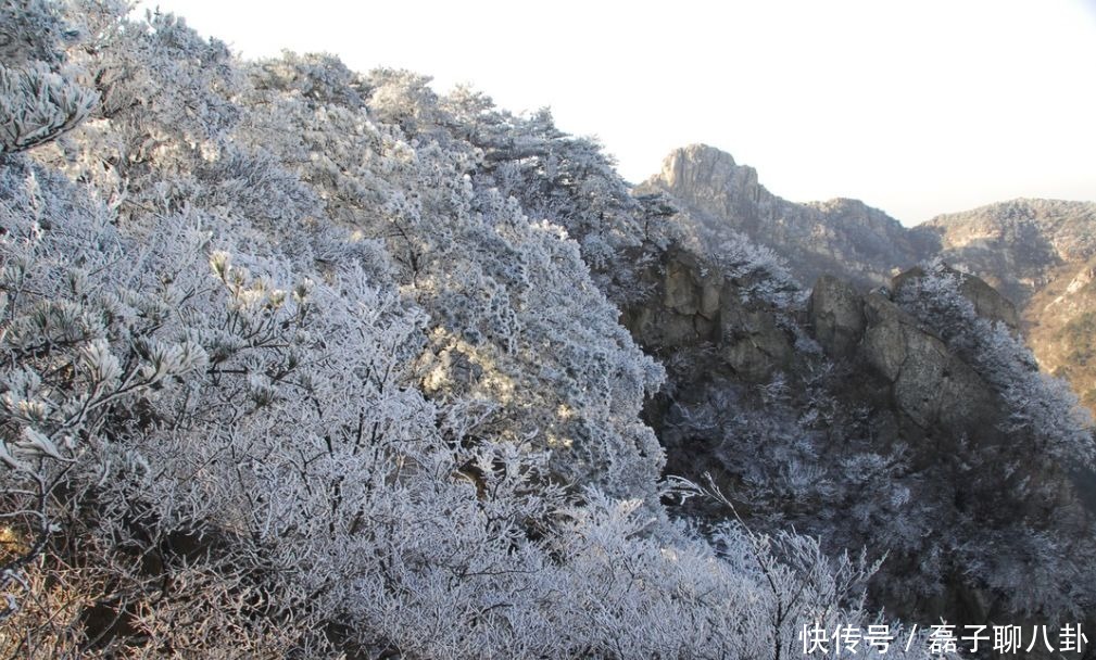 蒙山|十二月，打开一个不一样的蒙山