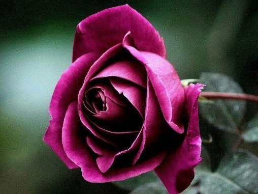 有钱人@人生有4条“天规”,40岁前背会,少奋斗15年,有钱人天天背!