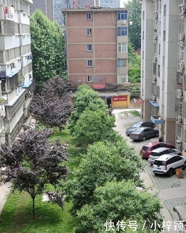 物业|未来10年,这“五种”房产将变得最难转手,别砸手里应提前知道