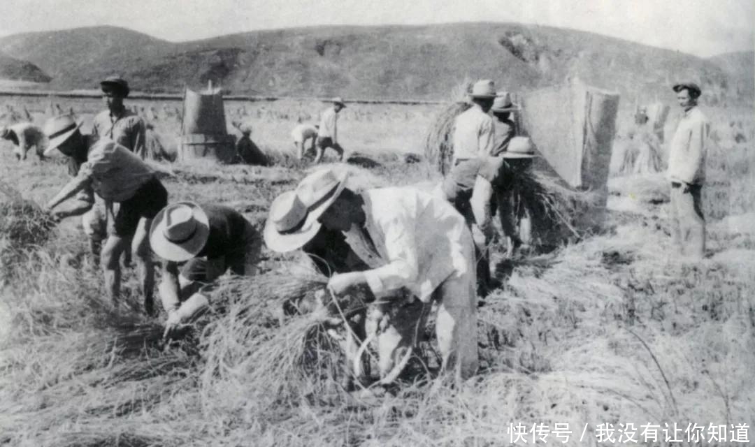 我国|抗日战争胜利后,我国近300万的汉奸最后是如何处置的?