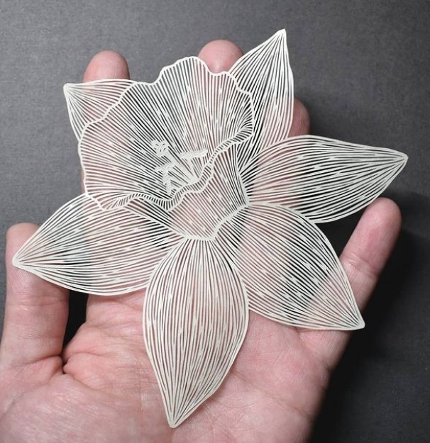 美女#美轮美奂，美女艺术家用一张纸雕刻出奇幻世界